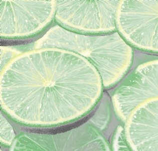 TRICOLINE ESTAMPADA MISTA LIMÕES D5030