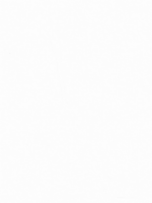 TECIDO TRICOLINE LISA 100% ALGODÃO BRANCO V4994