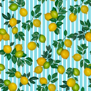 1 TECIDO TRICOLINE ESTAMPADA 100% ALGODÃO COLEÇÃO HANDMADE D9050 V314